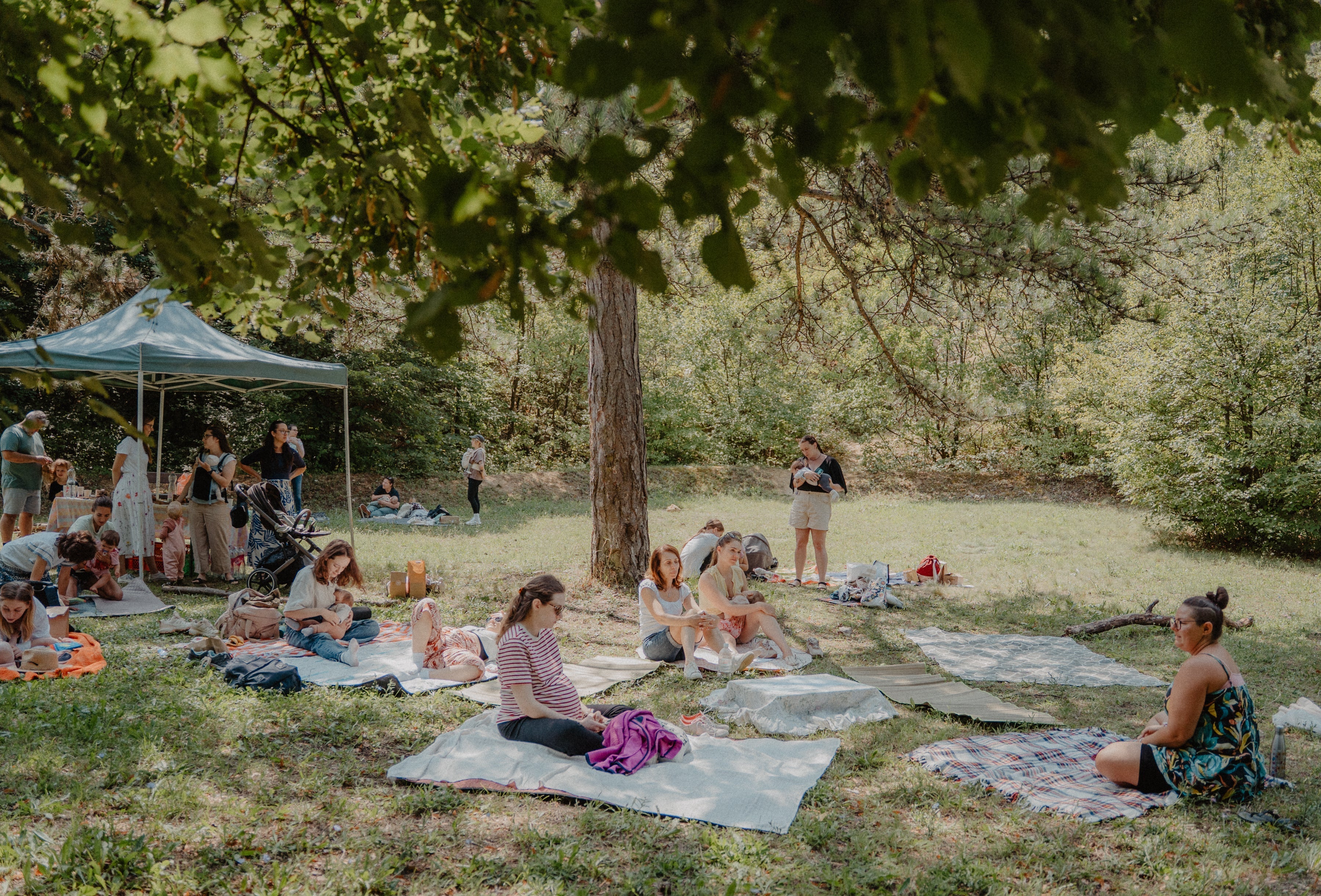 Micsoda nap volt: Az első Milyen Kedves! Erdei Találkozó és Piknik 🦊🌲