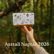 Asztali mini kalendár lapok 2026