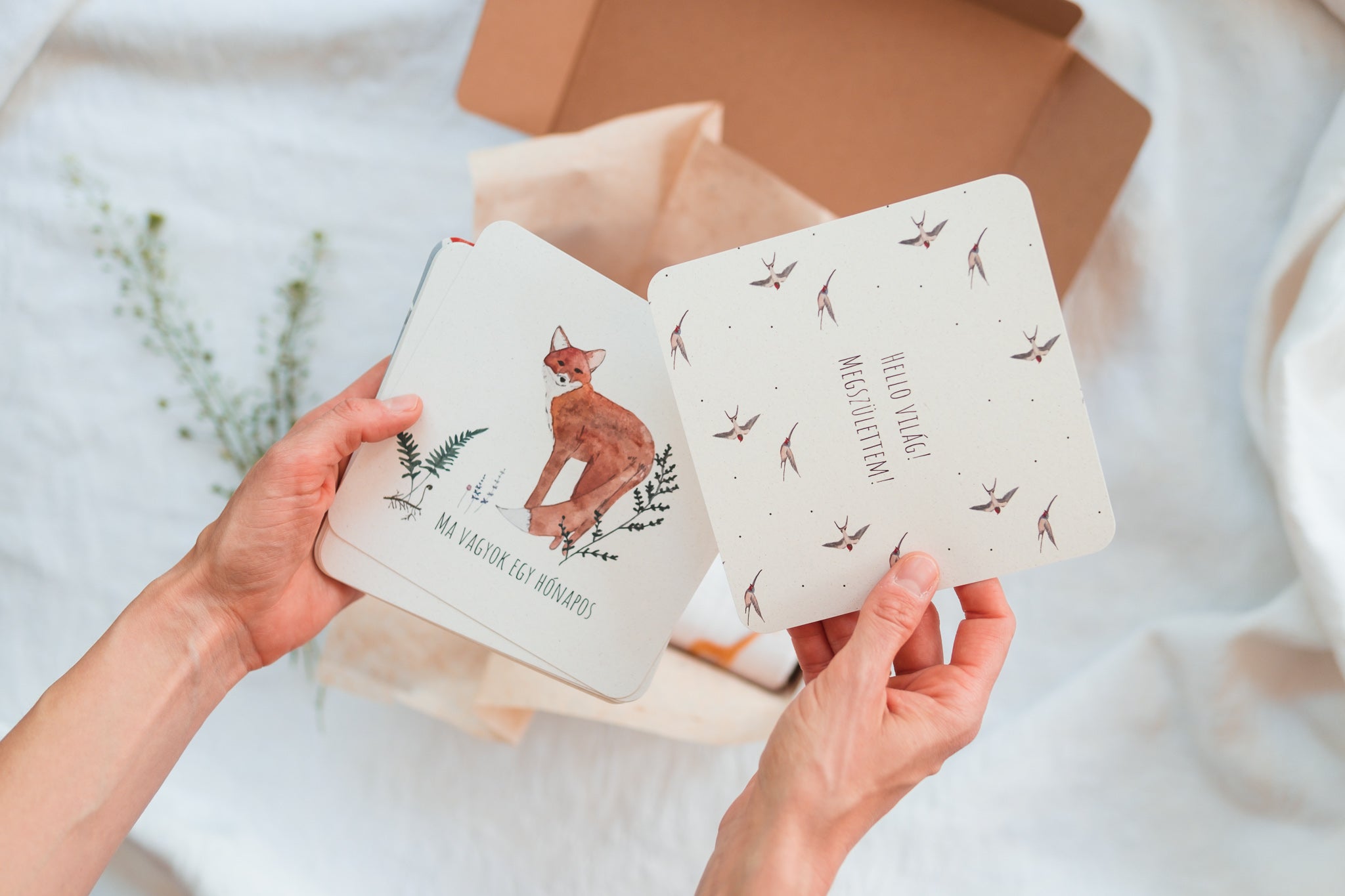 Bababox - szafari csomag