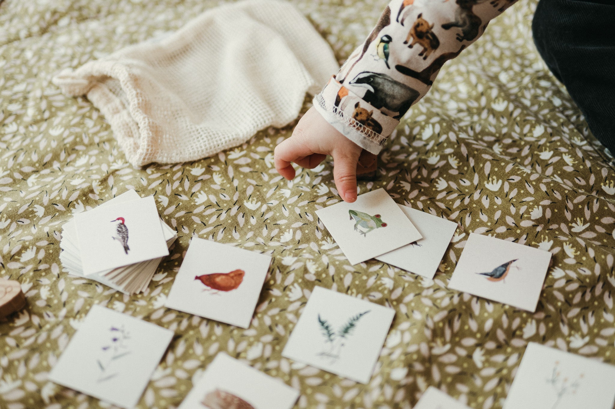 Memória kártyacsomag - digitális termék