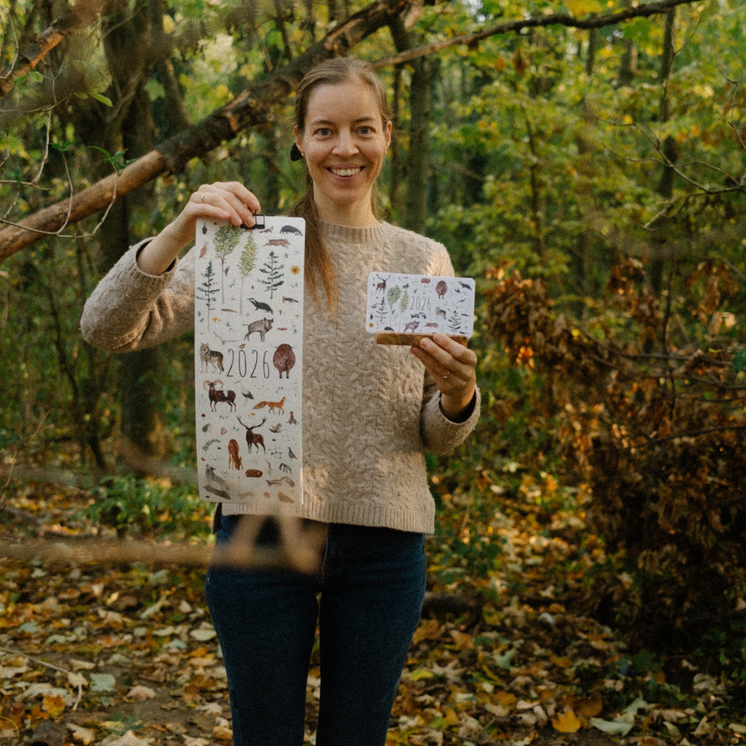 Asztali mini kalendár 2026