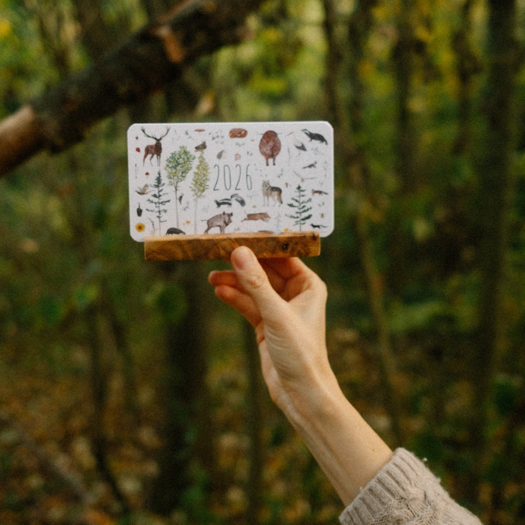 Asztali mini kalendár 2026