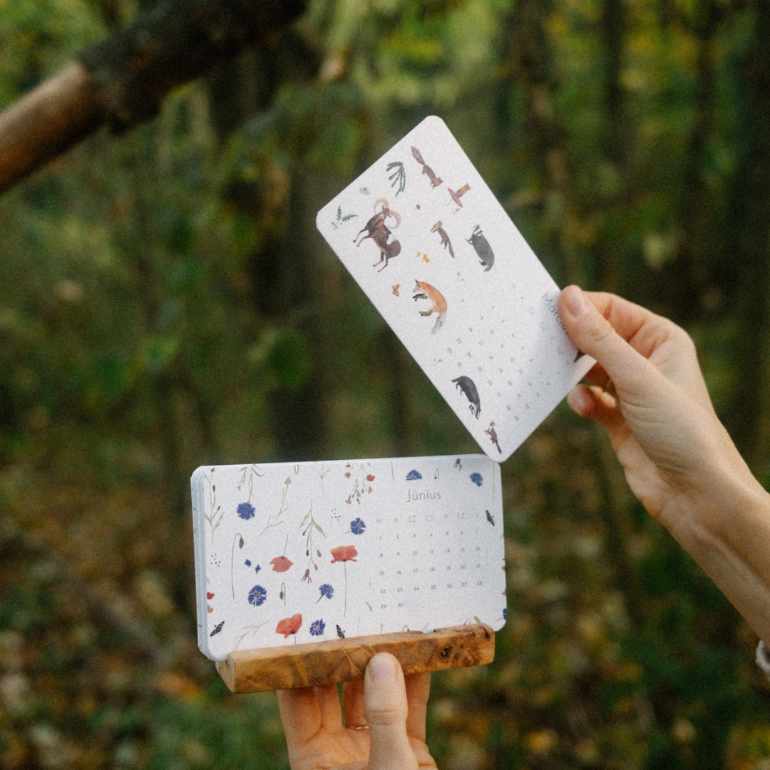 Asztali mini kalendár 2026